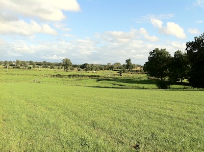 Fields of Normandy