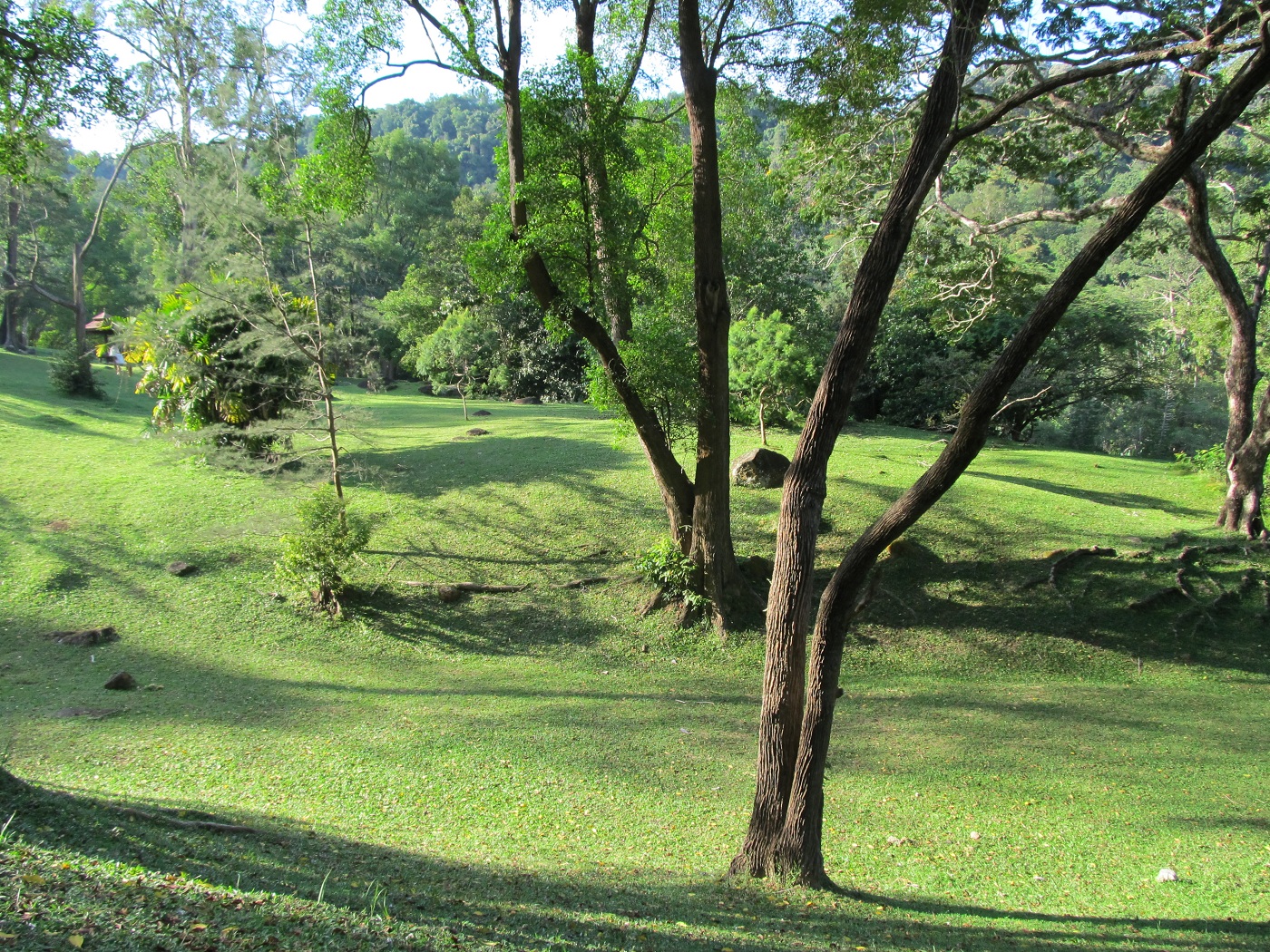 Penang Botanic Gardens