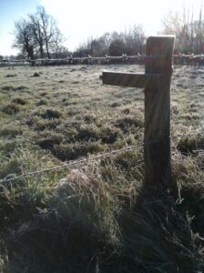 Fencepost and frosted fields