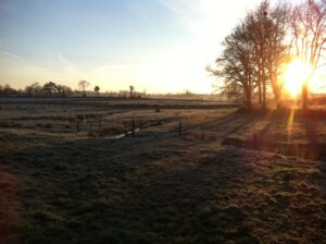 Frost-covered fields in the morning