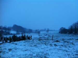 A cold morning in farmland