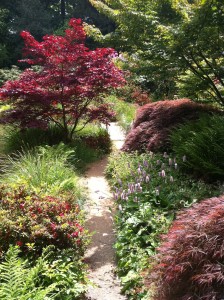 Along the garden path