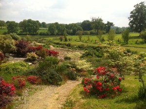 Gardens and fields