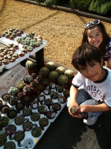 Kids and cacti