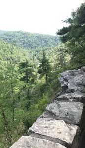 Lookout near Linville Falls