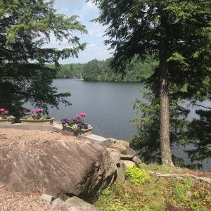 Paudash Lake flowers