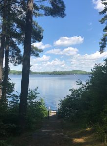 Joe Bay, Paudash Lake