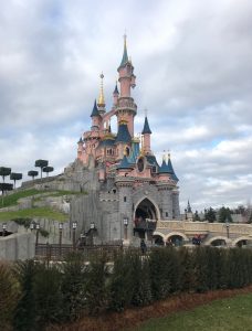 Chateau de la Belle au Bois Dormant