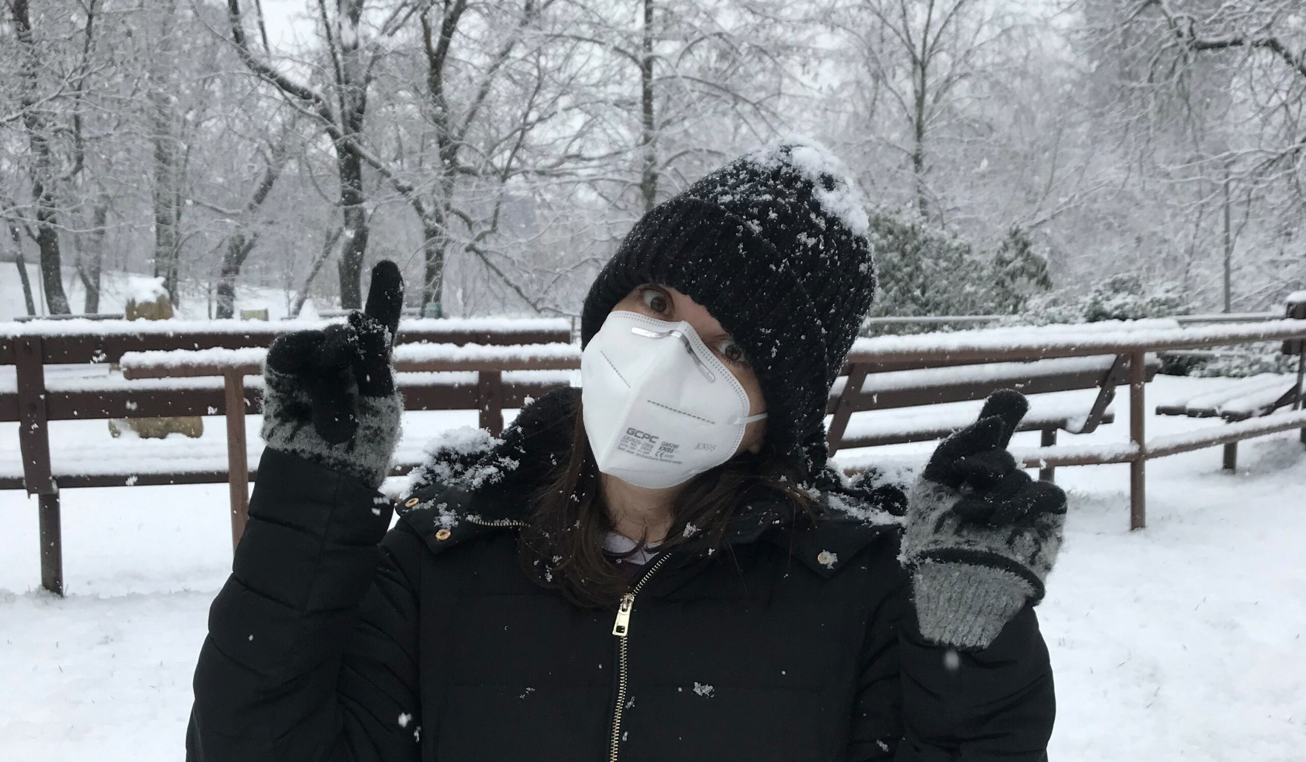 A snowy day in Prague