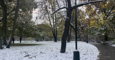 Karlovo Namesti park in November
