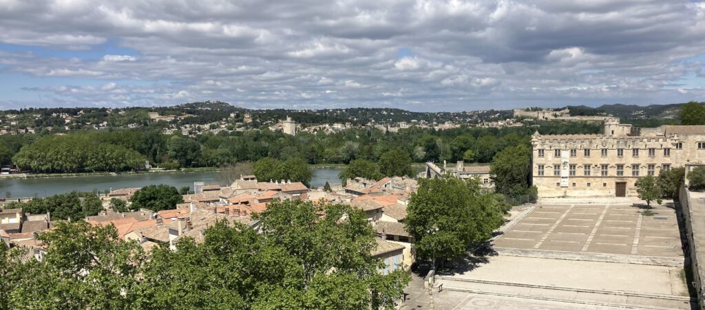 A view of Avignon, including the Rhône river and the Musée du Petit Palais, from the Palais des Papes.