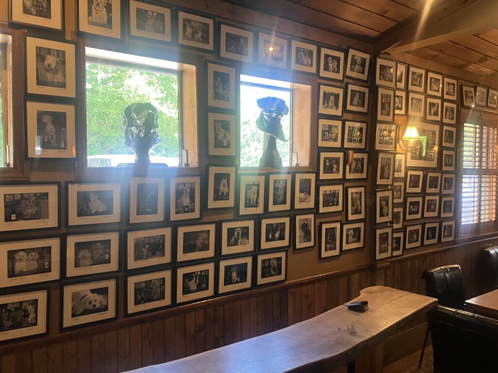 Bistro Roca wall with dog pictures