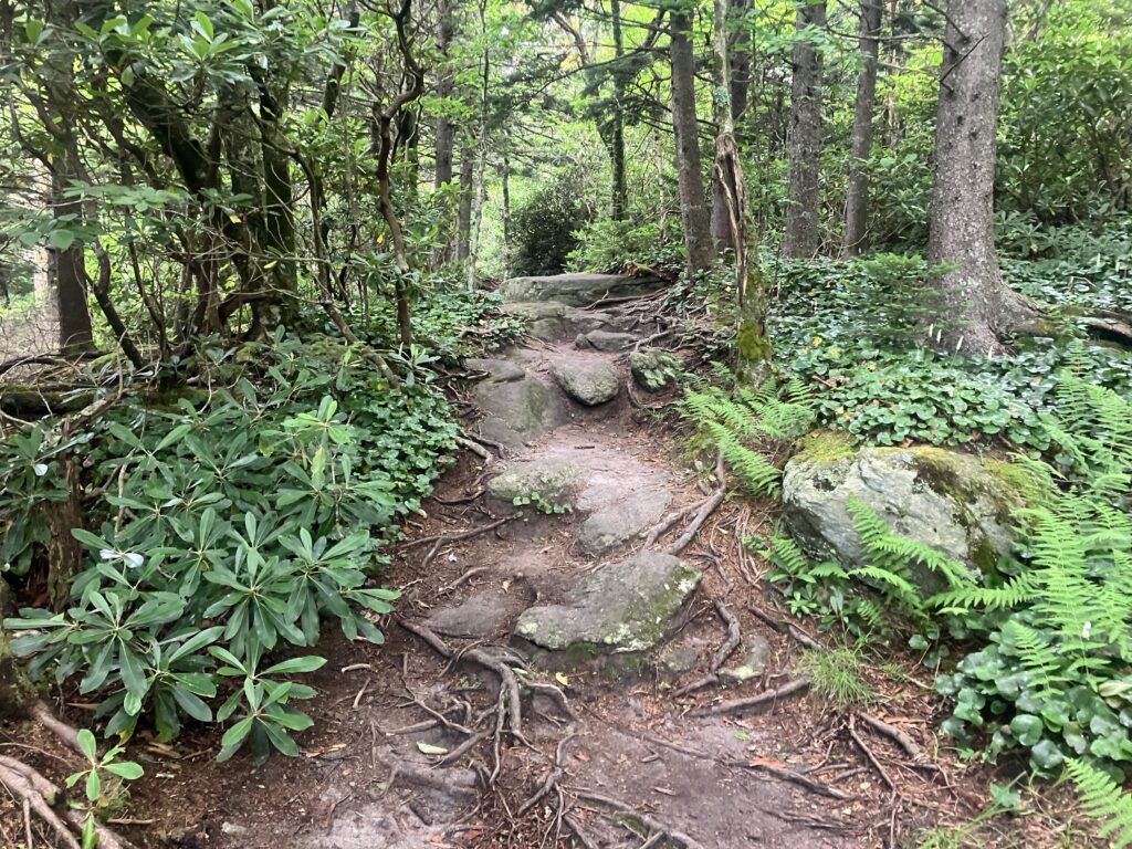 Black Rock Trail hike