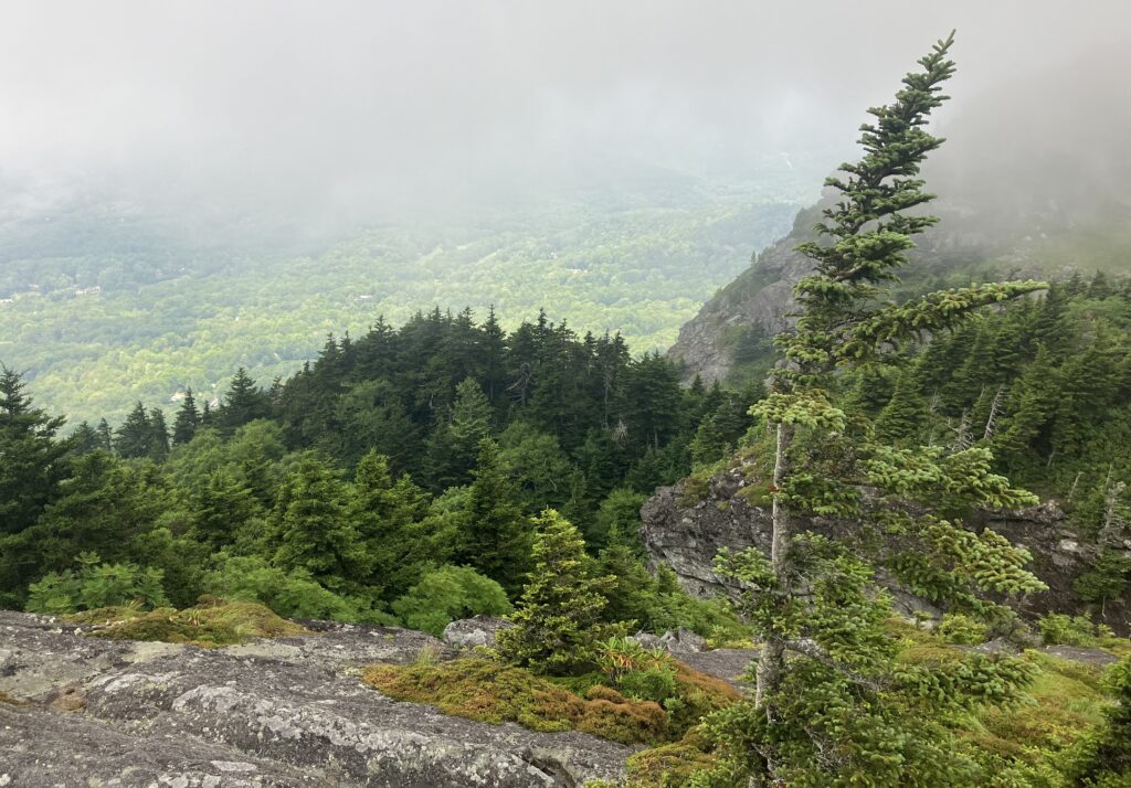 Atop Grandfather Mountain in North Carolina