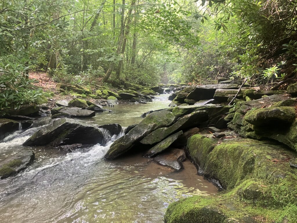 Downstream from Linville Falls in North Carolina