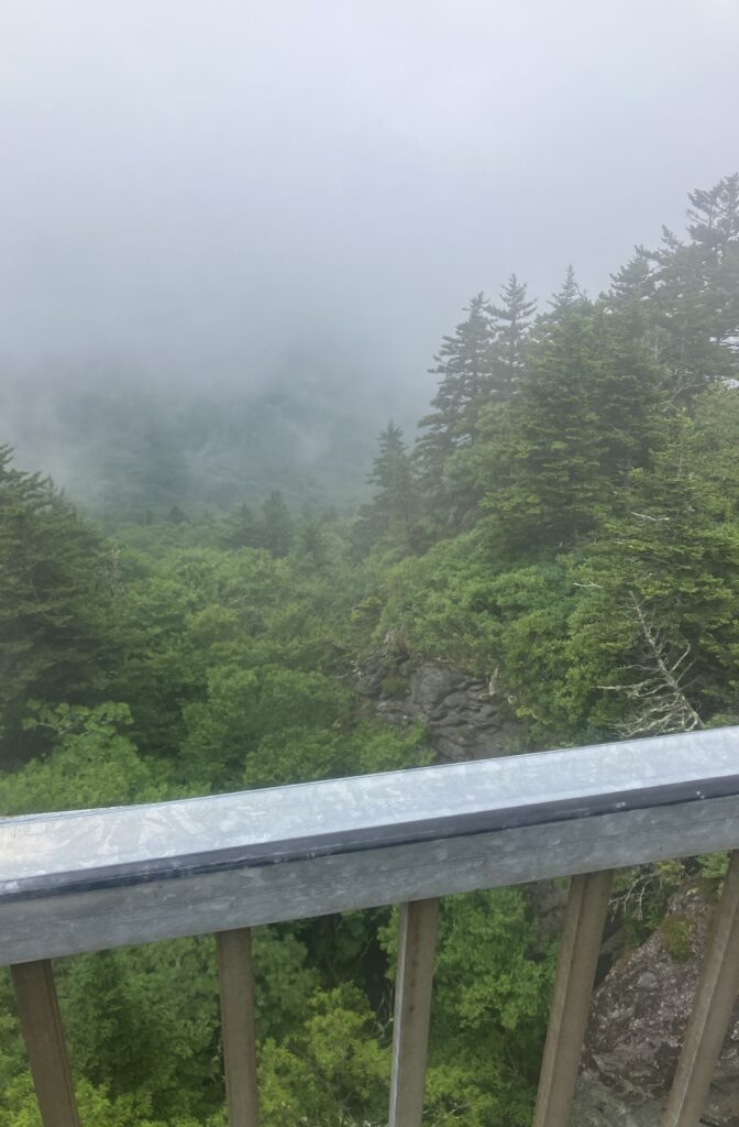 View from the Mile High Swinging Bridge at Grandfather Mountain