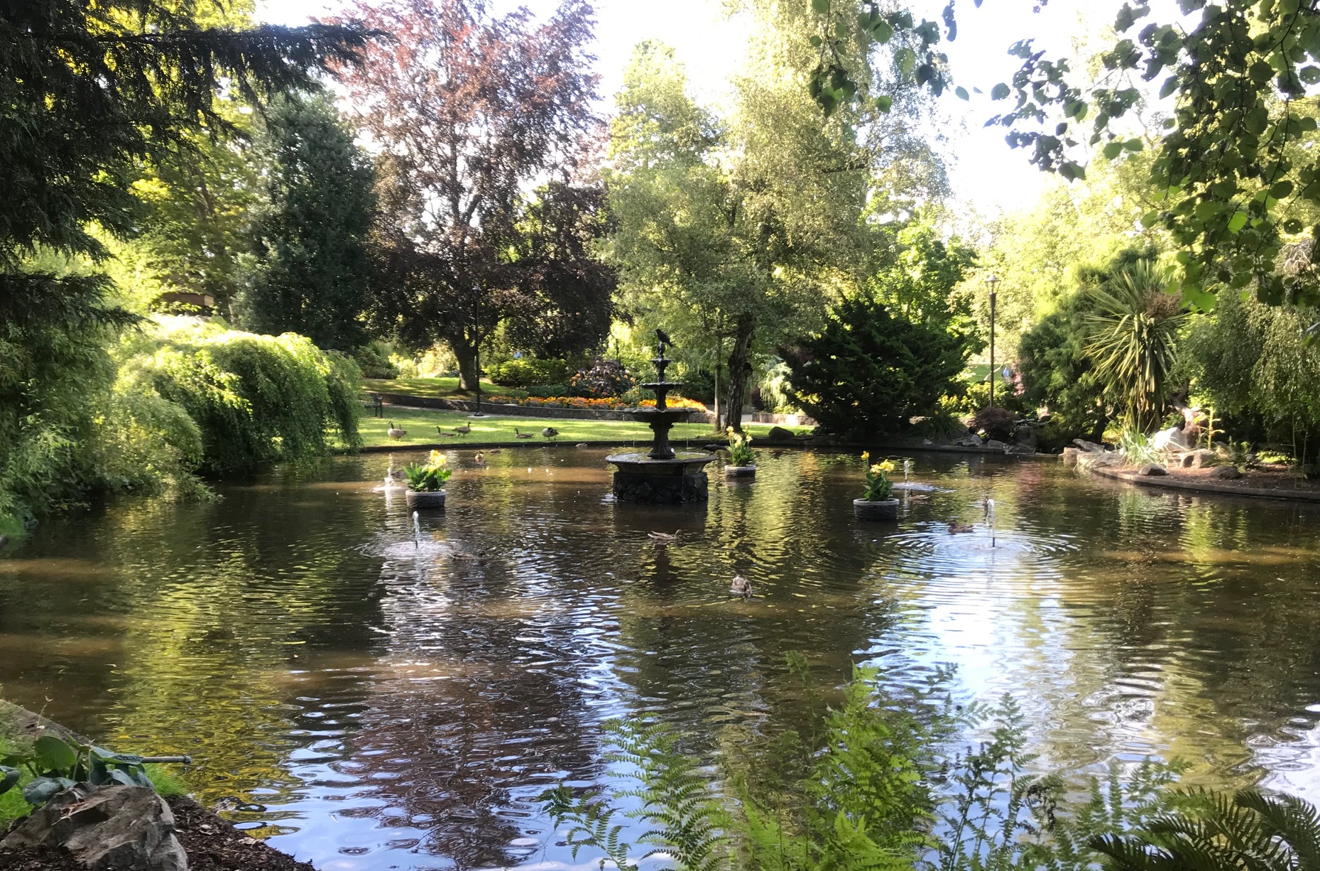 Beacon Hill Park